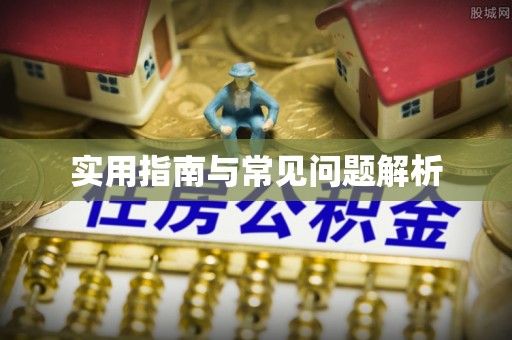 商洛实用指南与常见问题解析