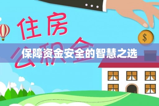 商洛保障资金安全的智慧之选
