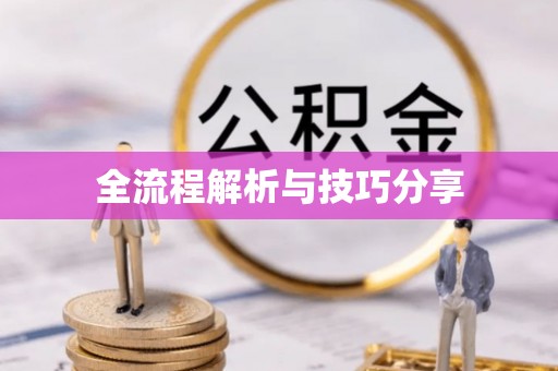 商洛全流程解析与技巧分享